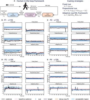 Adaptive cueing strategy for gait modification: A case study using auditory cues